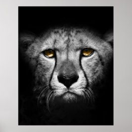 Een exotisch Afrikaans dier Poster