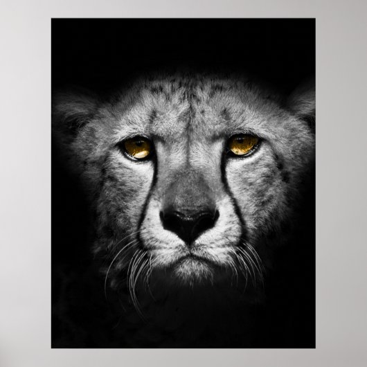 Een exotisch Afrikaans dier Poster (Voorkant)