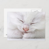 Een extreem dichtbij een heel jong wit briefkaart (Voorkant / Achterkant)