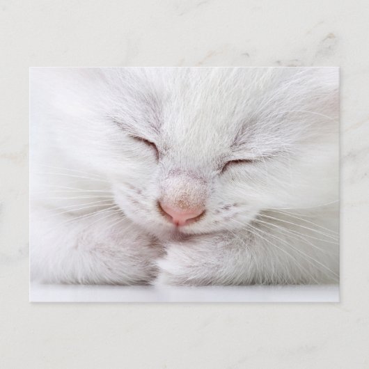 Een extreem dichtbij een heel jong wit briefkaart (Voorkant)