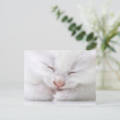 Een extreem dichtbij een heel jong wit briefkaart (Staand voorkant)