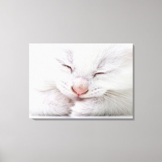 Een extreem dichtbij een heel jong wit canvas afdruk (Voorkant)