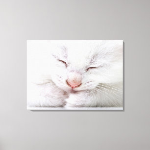 Een extreem dichtbij een heel jong wit canvas afdruk