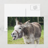 Een ezel briefkaart (Voorkant / Achterkant)