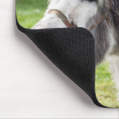 Een ezel muismat (Hoek)