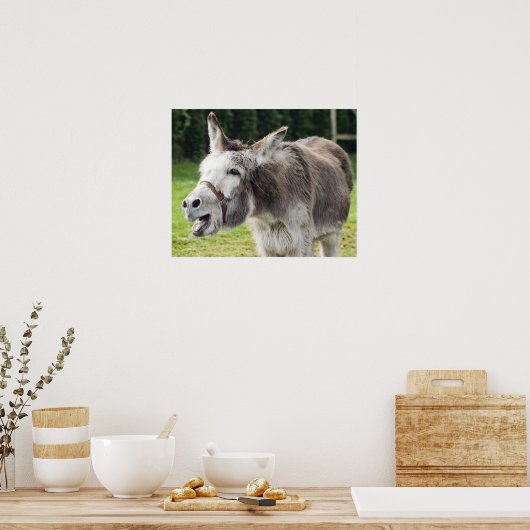 Een ezel poster (Keuken)