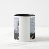 Een F-16-strijder tegen valk Mok (Midden)