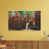 Een Fallen Giant, Humboldt State Park Canvas Afdruk (Insitu (Woonkamer))