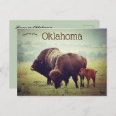 Een familie van bizons in Oklahoma Briefkaart (Voorkant / Achterkant)