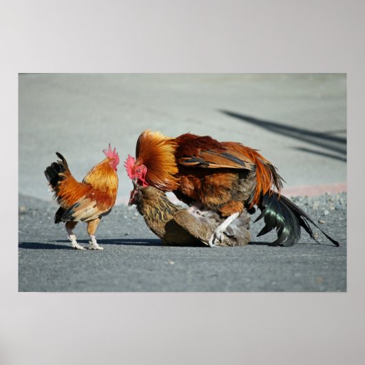 "Een familieverband" Poster (Voorkant)