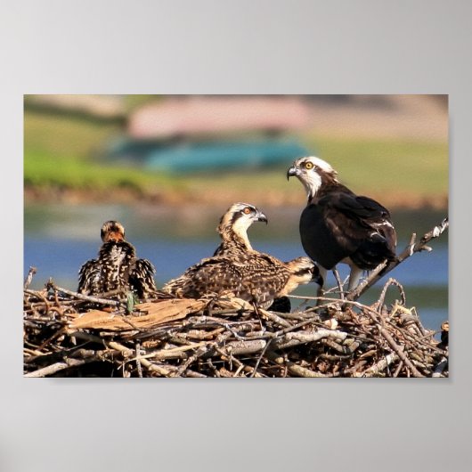 een familiezaak poster (Voorkant)