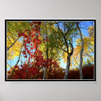 Een Fantastische Herfst (met grens) Poster