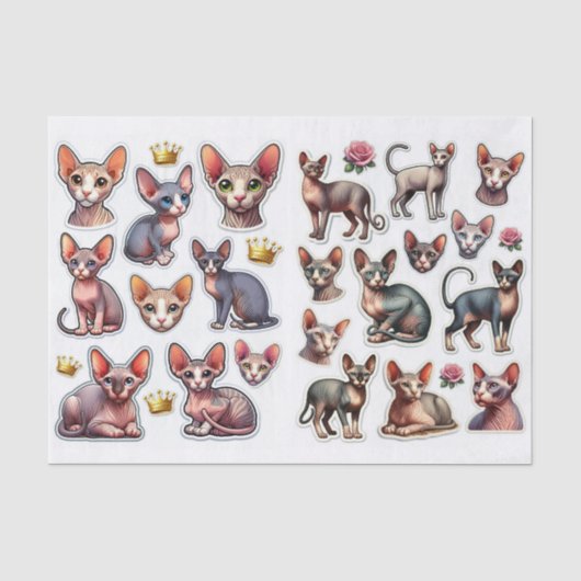 Een Fantastische Mix van Illustraties van Haarloze Tissuepapier (Voorkant)