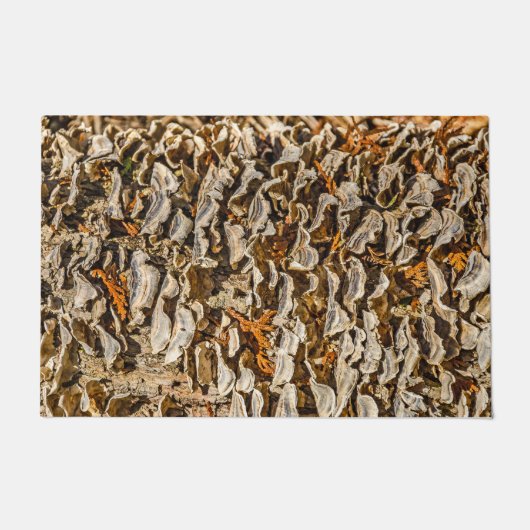 Een fascatie met Fungi Deurmat (Voorkant)