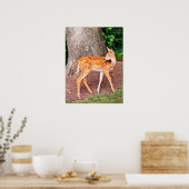 Een fawn poster (Keuken)