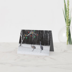 Een feestelijke vakantiekaart met Sandhill Cranes Feestdagen Kaart