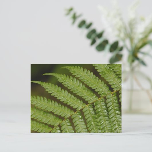 Een fern detail van het Mindo Cloud Forest. Briefkaart (Staand voorkant)