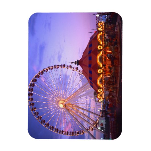 Een ferris wiel en carrousel bij de marine pier in magneet (Verticaal)