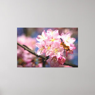 Een festival van roze Sakura-bloemen in de lente Canvas Afdruk