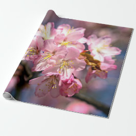 Een festival van Roze Sakura Flowers Cadeaupapier