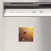 Een fietser op de fiets bij het Great Salt Lake Magneet (Insitu (Vaatwasser))