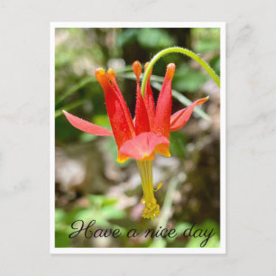 Een fijne dag briefkaart