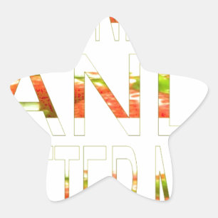 Een fijne dag ster sticker