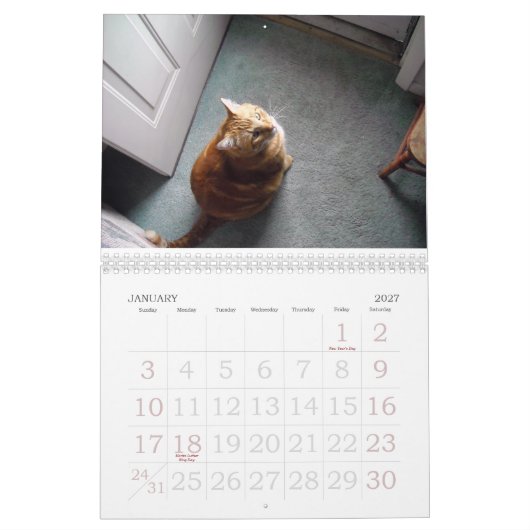 Een fijne Fandango ~ Een jaar Louie Kalender (Jan 2027)
