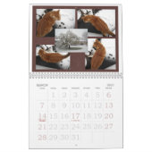 Een fijne Fandango ~ Een jaar Louie Kalender (Mar 2027)