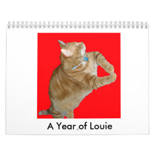 Een fijne Fandango ~ Een jaar Louie Kalender