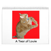 Een fijne Fandango ~ Een jaar Louie Kalender (Hoes)