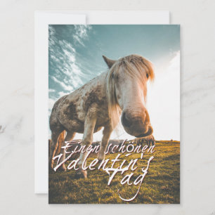 Een fijne Valentijnsdag met een paard dat kijkt