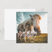 Een fijne Valentijnsdag met een paard dat kijkt (Voorkant / Achterkant)