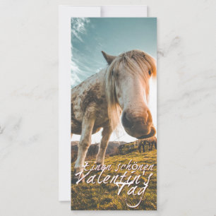 Een fijne Valentijnsdag met een paard dat kijkt