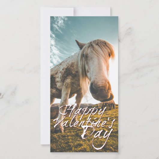 Een fijne Valentijnsdag met paard dat kijkt (Voorkant)