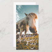 Een fijne Valentijnsdag met paard dat kijkt (Voorkant / Achterkant)