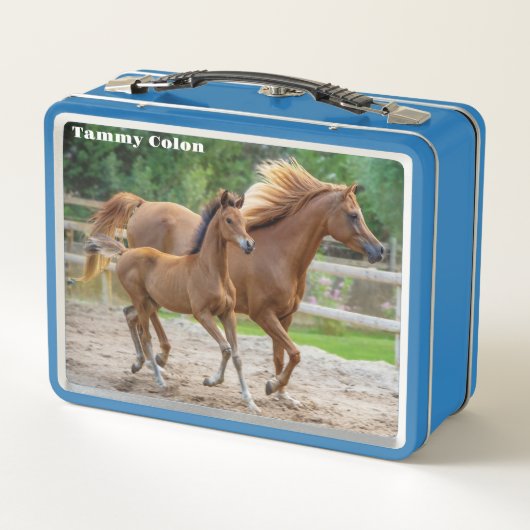 Een Filly en haar moeder (Achterkant)