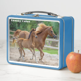 Een Filly en haar moeder