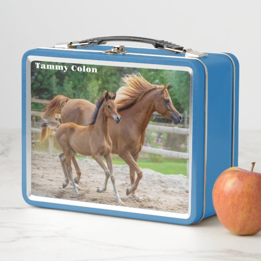 Een Filly en haar moeder (In situ)