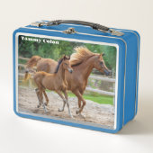 Een Filly en haar moeder (Voorkant)