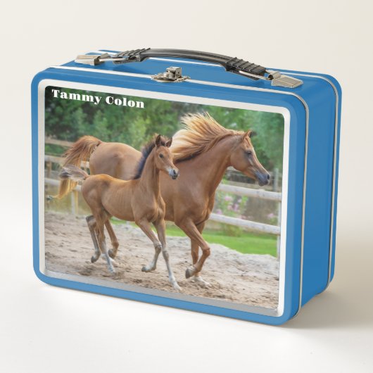 Een Filly en haar moeder (Voorkant)