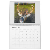 Een Fire Island Tale 2025 Kalender (Feb 2027)