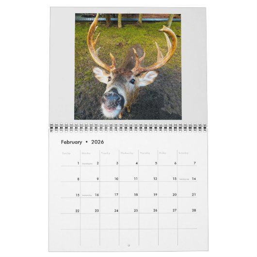 Een Fire Island Tale 2025 Kalender (Feb 2026)