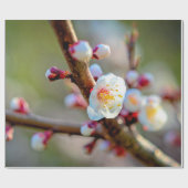 Een Florale samenstelling van Japanse abrikozenblo Cadeaupapier (Vlak)