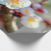 Een Florale samenstelling van Japanse abrikozenblo Cadeaupapier (Hoek)