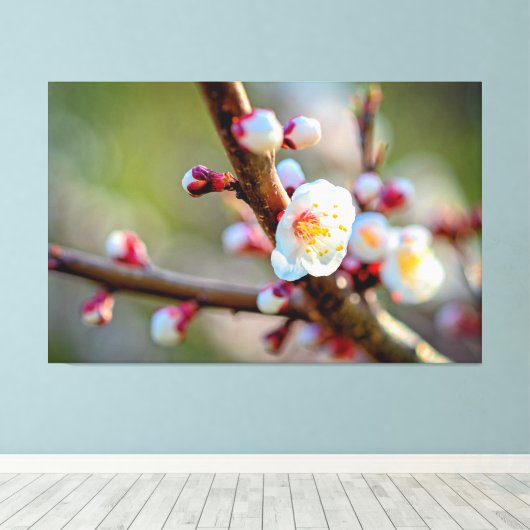 Een Florale samenstelling van Japanse abrikozenblo Canvas Afdruk (Insitu (Houten vloer))