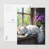 Een Fluffy Witte Kat Die Slaapt op de Vensterbank Briefkaart (Voorkant / Achterkant)