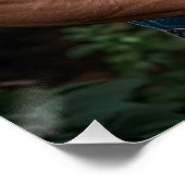 Een fluistering van romantiek perfect poster (Hoek)