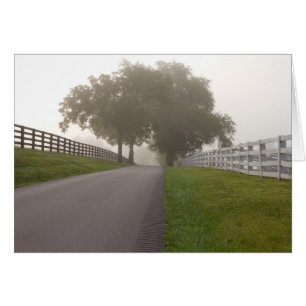 Een 'Foggy Bluegrass Morning'