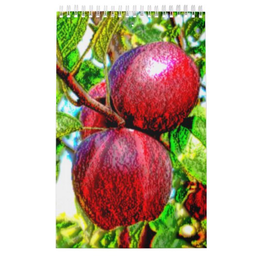 Een Foodie-agenda Kalender (Hoes)